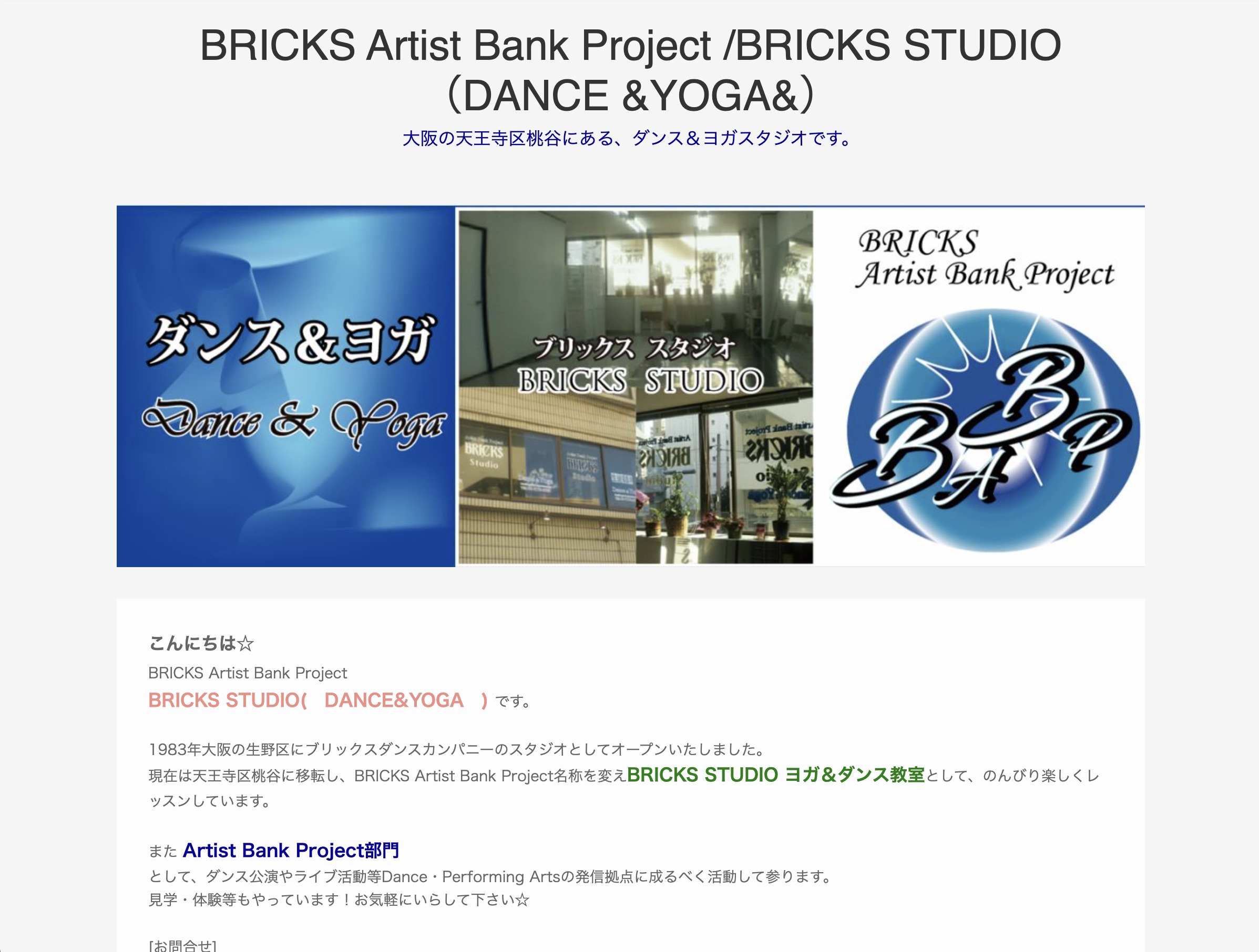 Bricks Studio